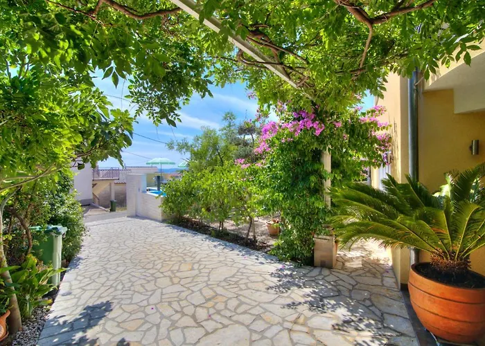 Dalmare * نوفي فينودولسكي